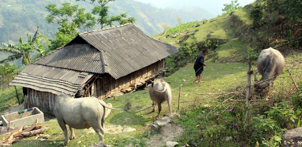 hagiang-1623472603.jpg