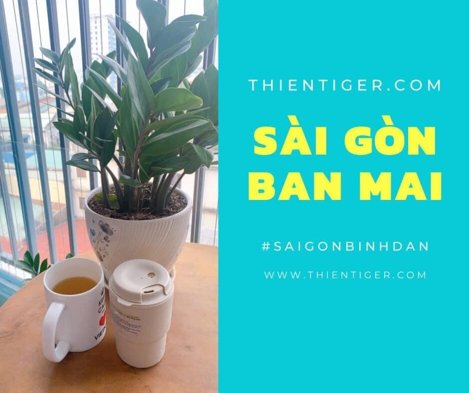 sai-gon-binh-minh-1634845923.jpg