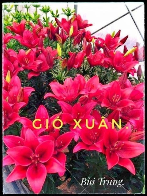 gio-xuan-1639446148.jpg