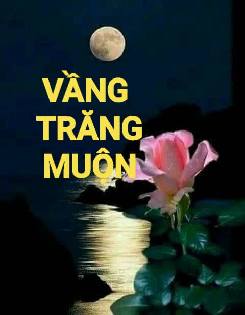 vang-trang-muon-1643120186.jpg