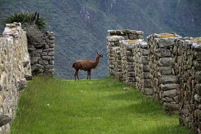 machu-picchu-1018768-6407-1685112249.jpg