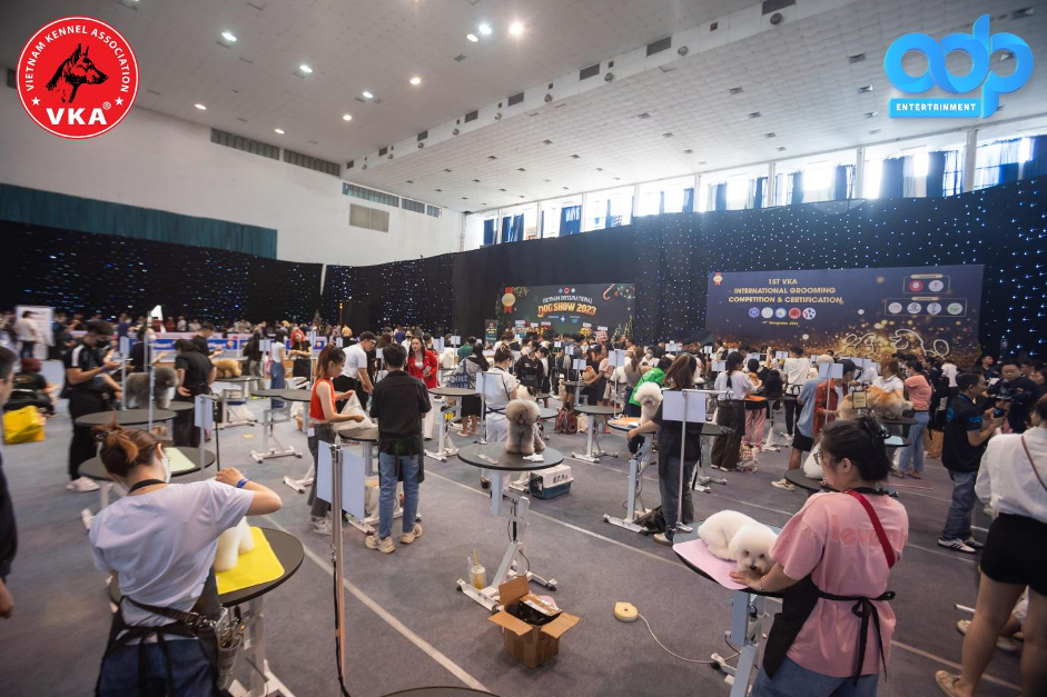 vietnam-international-dog-show-2023e-1703147066.png