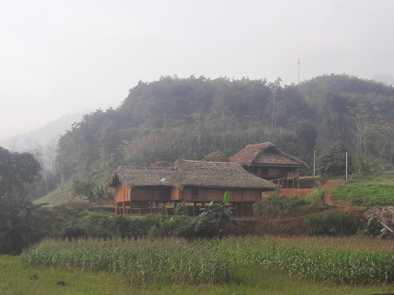 nhung-nep-nha-thap-thoang-ben-chan-doi-1707322311.jpg