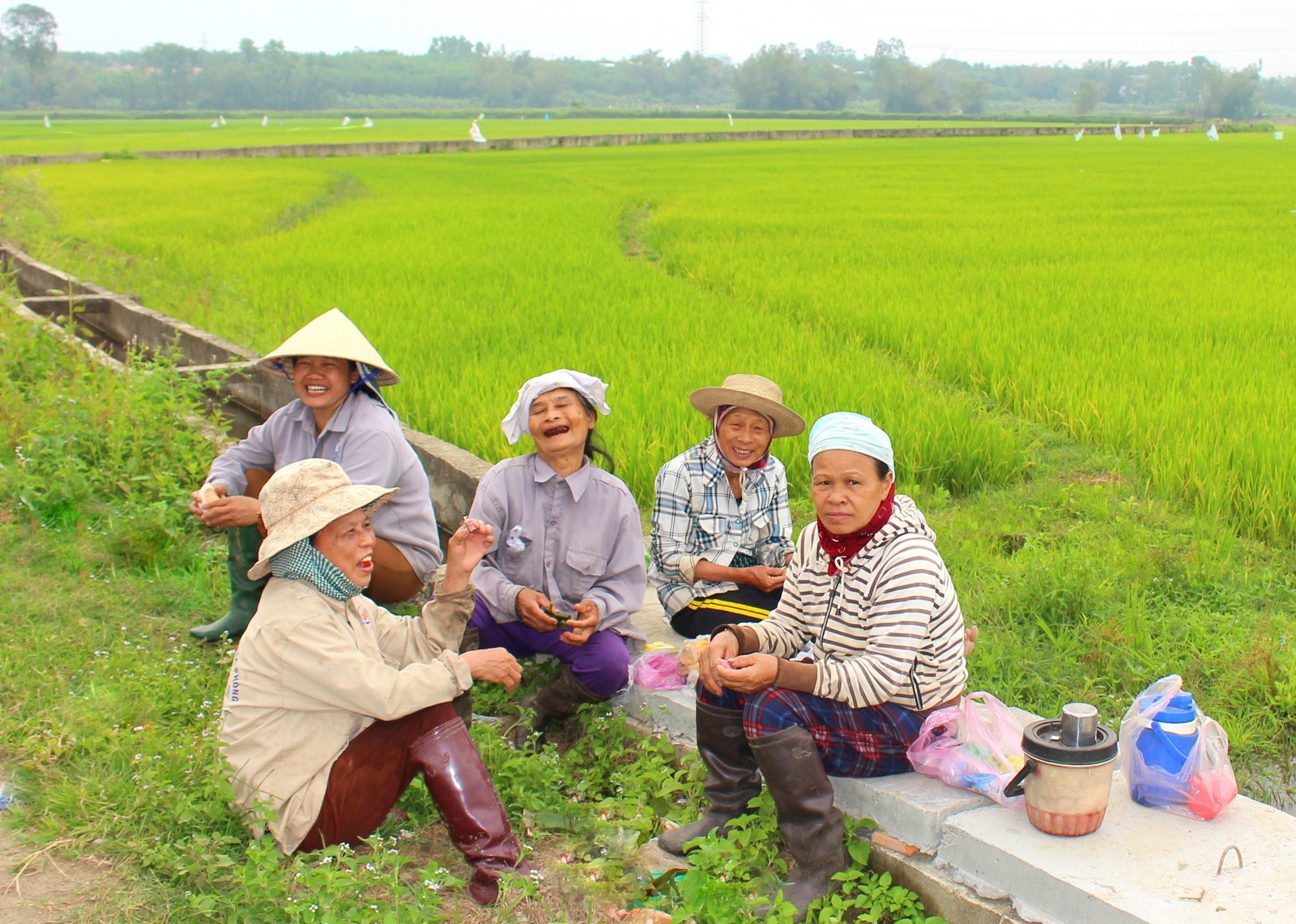 nho-thang-gieng-cuoc-co-dau-chum-5-1709109276.JPG