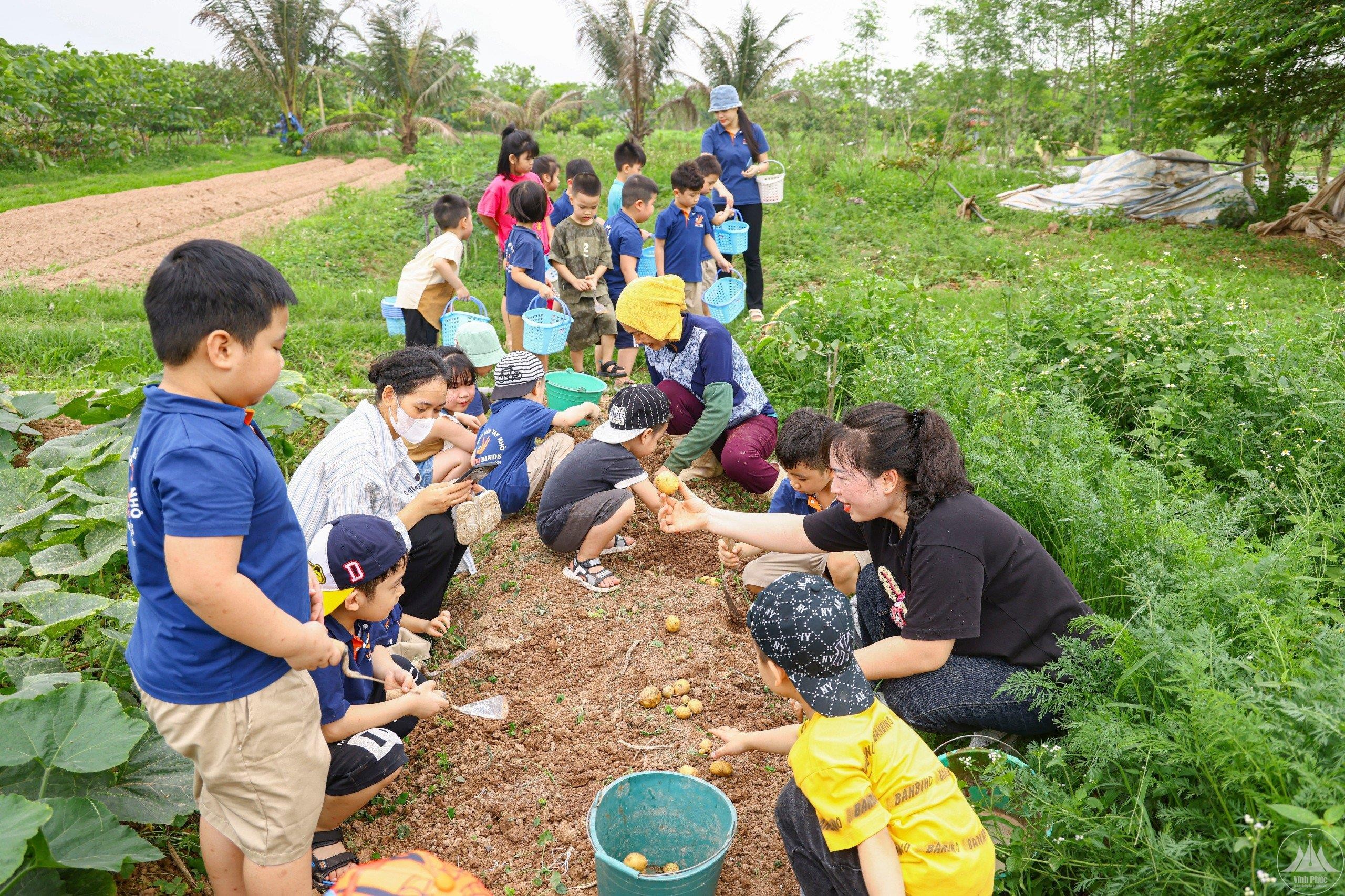 suc-hut-nong-nghiep-vinh-phuc4-1717392268.jpg