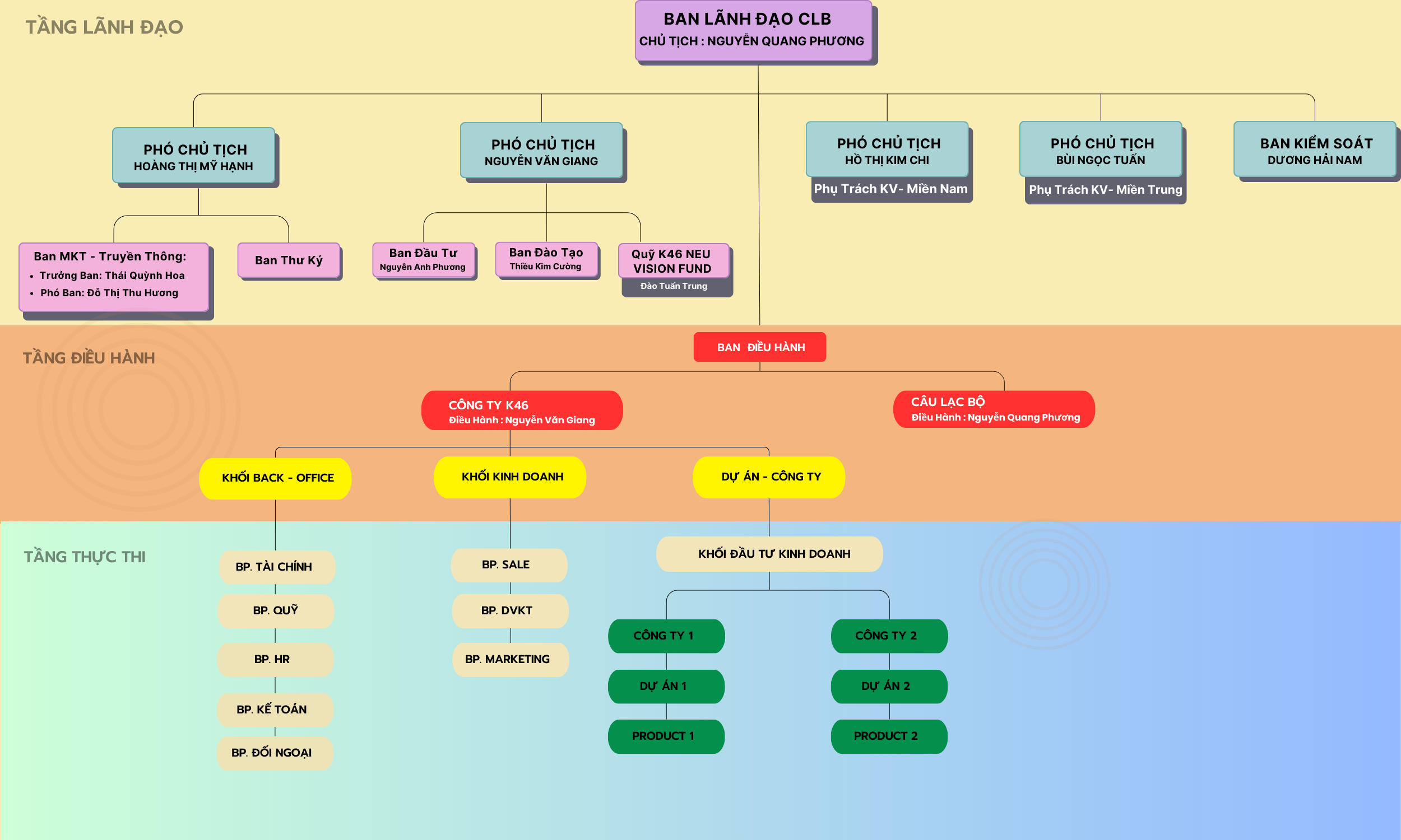 pink-colorful-modern-organizational-chart-graph-2500-1000-px-5-1719893905.png