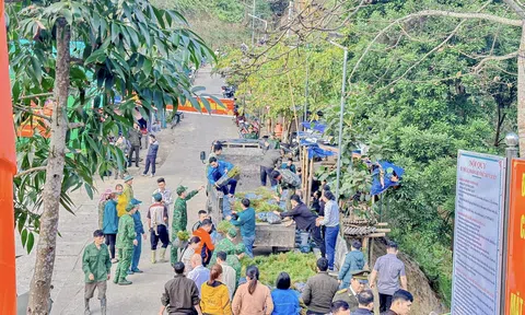 Hà Giang: Trồng cây đầu xuân Giáp Thìn góp phần phủ xanh biên cương