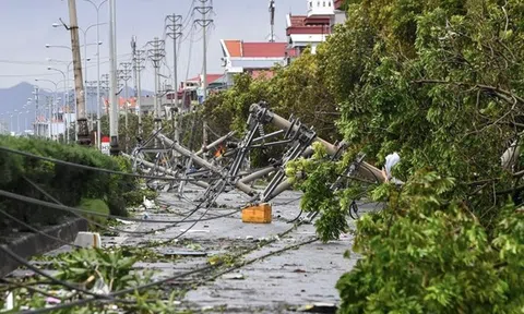 Công điện của Thủ tướng về việc chủ động ứng phó áp thấp nhiệt đới có khả năng mạnh lên thành bão