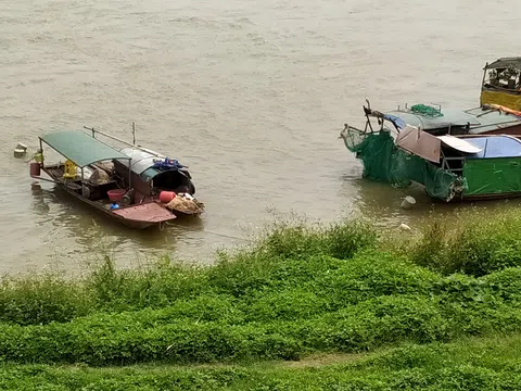     Màu áo trắng