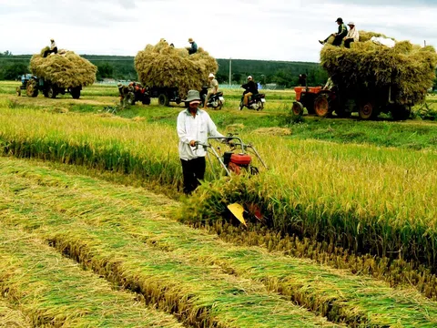 “Nghiệp thơ” sự thống khổ hay “tự thú”