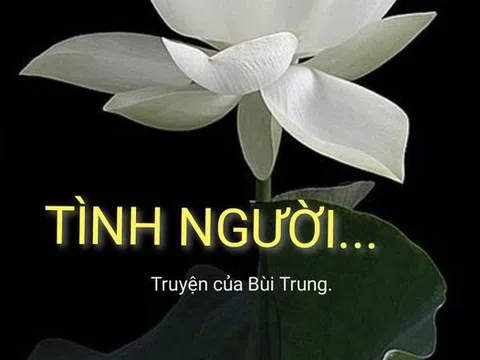 Tình người