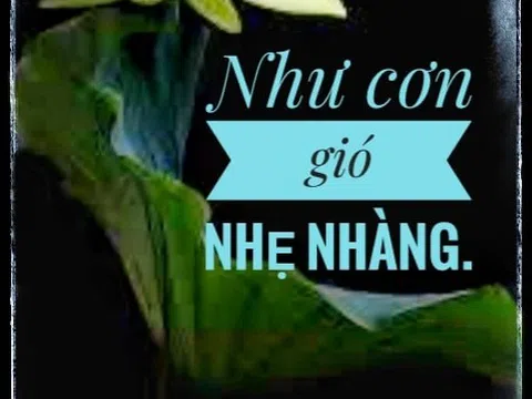 Như cơn gió nhẹ nhàng