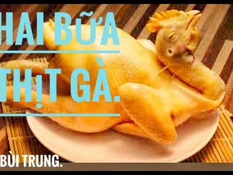 Hai bữa thịt gà