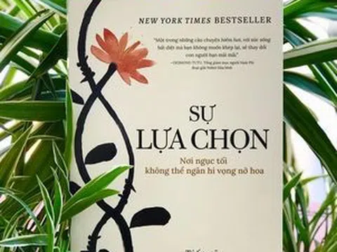 Sự  lựa chọn