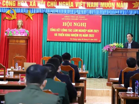 Hà Giang: Khẩn trương khắc phục những hạn chế trong công tác quản lý và bảo vệ rừng