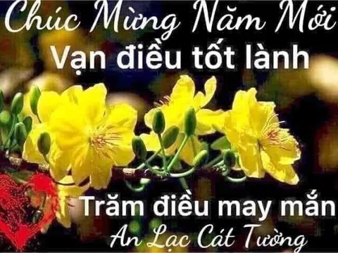 Đám cưới bạc trong mơ