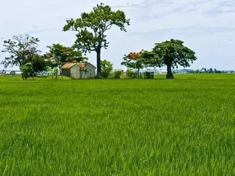 Chợ ma (Truyện ngắn)