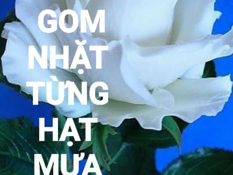 Gom nhặt từng hạt mưa xuân