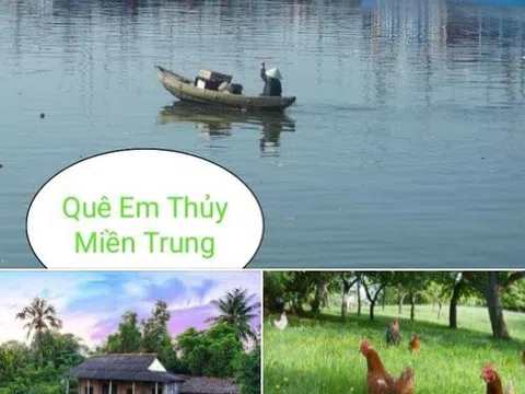 Bỏ phố về quê