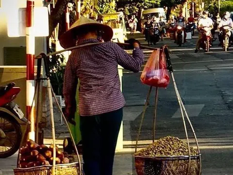 Khoai bổ hơn gạo