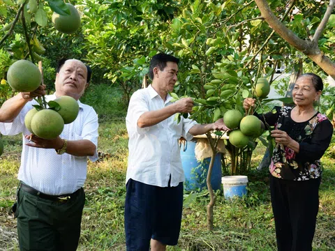 Bắc Giang: Gương sáng cựu TNXP Thân Văn Ngạn