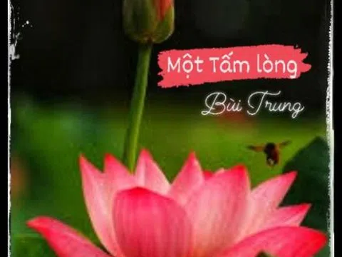 Một tấm lòng