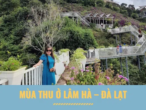 Mùa Thu ở Lâm Hà – Đà Lạt