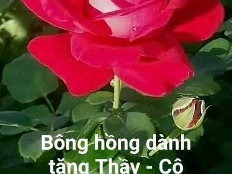 Nhớ cô giáo ngày xưa