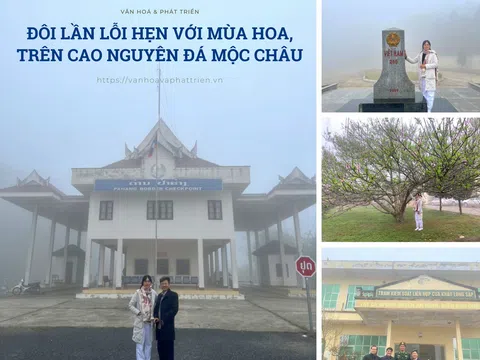 Đôi lần lỗi hẹn với mùa hoa trên cao nguyên đá Mộc Châu