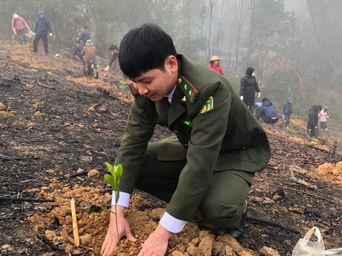 Tuyên Quang: Chiêm Hóa quản lý, bảo vệ rừng