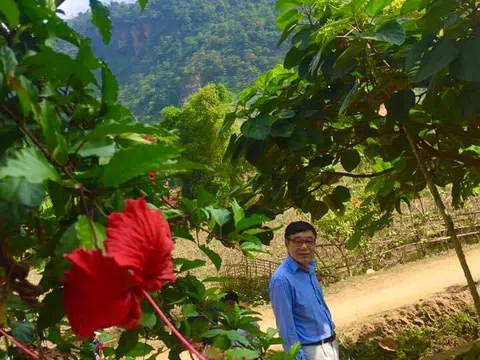 "Người bay về miền mây trắng…"