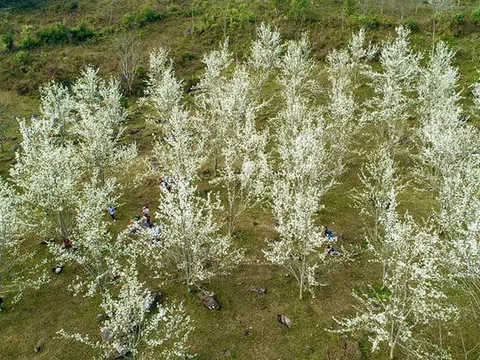 Tuyên Quang: Hồng Thái xây dựng nông thôn mới nâng cao gắn với phát triển du lịch