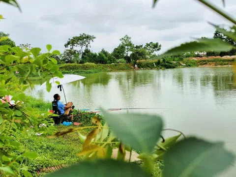 Trở về quê hương