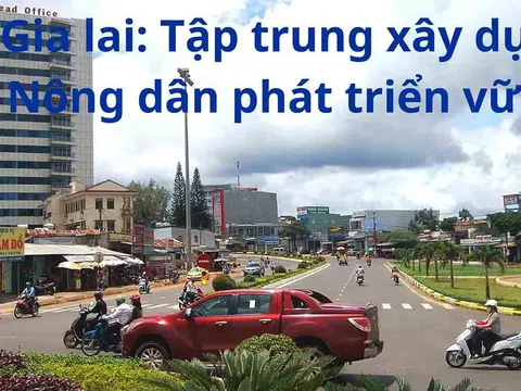 Gia Lai: Tập trung xây dựng Hội Nông dân phát triển vững mạnh