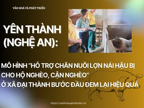 Nghệ An:  Mô hình “Hỗ trợ chăn nuôi lợn nái hậu bị cho hộ nghèo, cận nghèo” ở xã  Đại Thành (Yên Thành) bước đầu đem lại hiệu quả