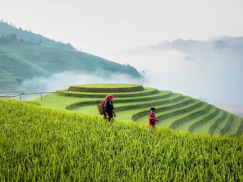 Mù Cang Chải - Ngày trở lại