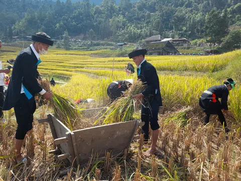 Hà Giang: Sắc màu Lễ hội "Mùa vàng – Làng nhà rêu” Xà Phìn năm 2023