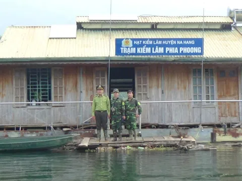 Tuyên Quang: Những người “bám rừng” ở Na Hang