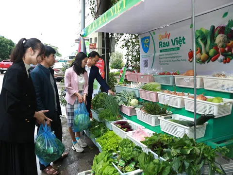 Vĩnh Phúc: Khai trương Quầy rau Việt