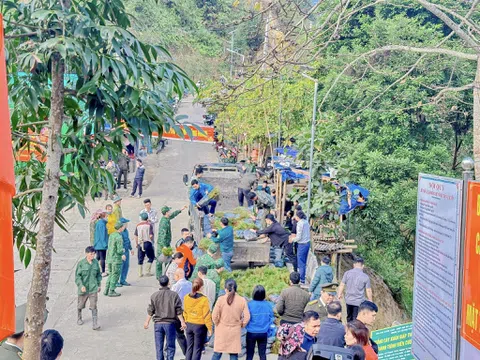 Hà Giang: Trồng cây đầu xuân Giáp Thìn góp phần phủ xanh biên cương