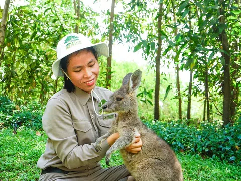 Thầm lặng những “bảo mẫu lênh đênh ngày đêm” cùng động vật hoang dã ở River Safari