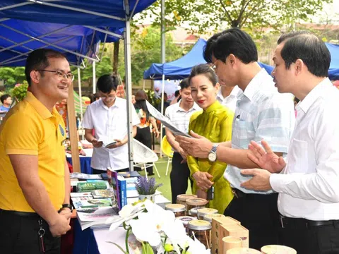 Vĩnh Phúc: Thành phố Vĩnh Yên với Ngày hội văn hoá đọc sách năm 2024