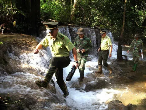 Tuyên Quang: Na Hang phòng chống cháy rừng mùa nắng nóng