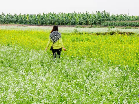 Chuyện tình thời xa vắng