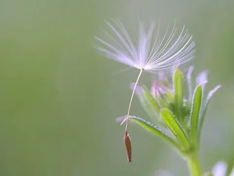 Bến đỗ nào cho em