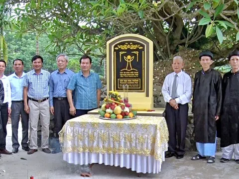 Vĩnh Phúc: Hai cây Đại hoa trắng hơn 300 tuổi tại Lập Thạch được công nhận Cây Di sản Việt Nam