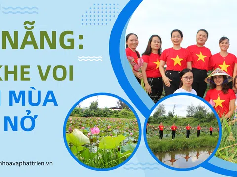 Đà Nẵng: Về Khe Voi xem mùa sen nở