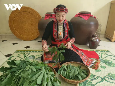 Yên Bái: Mờ sán sui - Rau sắn muối chua dân dã mà lạ miệng của đồng bào Dao đỏ