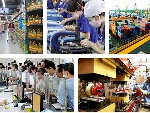 Tiếp tục rà soát, sửa đổi, bổ sung quy định pháp luật gây vướng mắc trong đầu tư kinh doanh