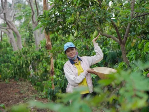 Hoa hậu H'Hen Niê - Đỗ Thị Hà: Vươn tầm thế giới vẫn không quên nguồn cội